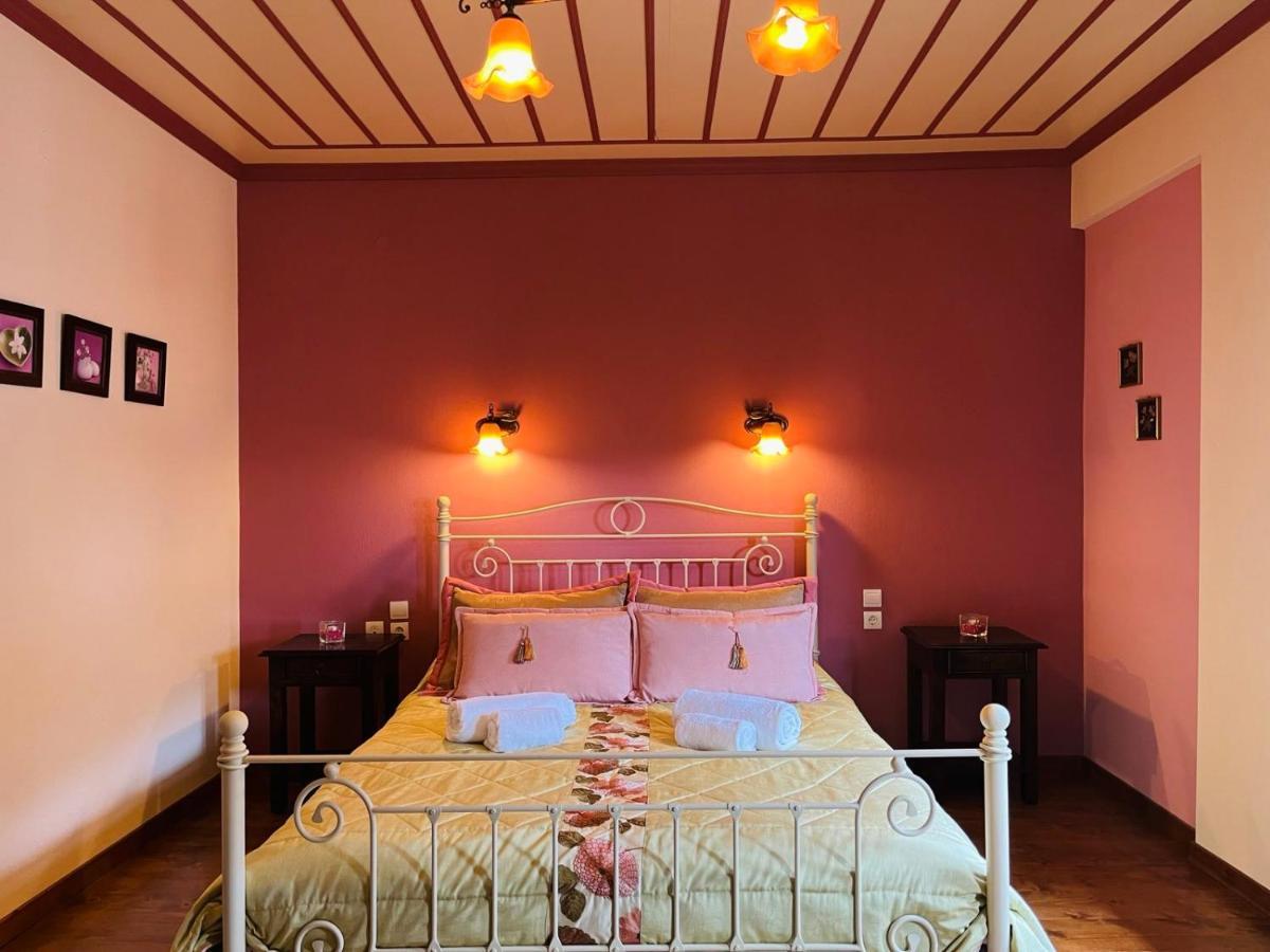 Giagia Evgenia Hotel Vitsa Exterior photo