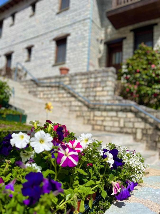 Giagia Evgenia Hotel Vitsa Exterior photo